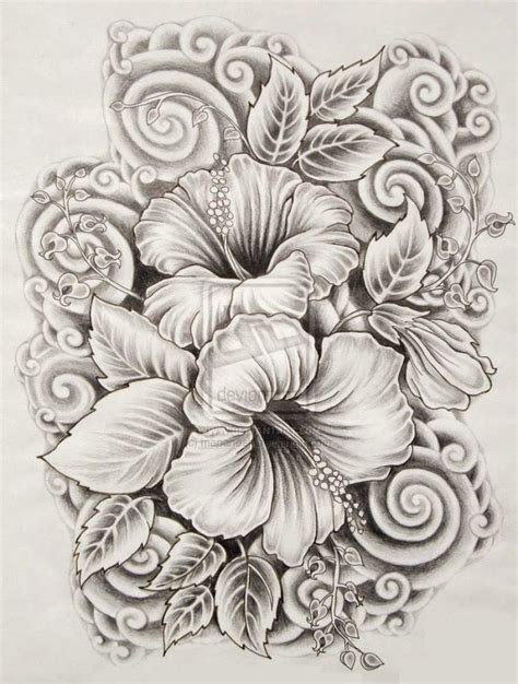 ilove drawings beautiful flower drawings  realistic color pencil