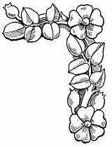 Coloring Border Flower Pages Getdrawings sketch template