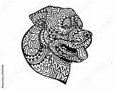 Rottweiler Zentangle Decorated sketch template