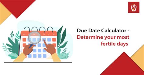 due date calculator determine your most fertile days