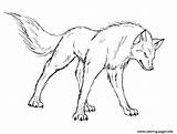 Wolf Coloring Pages Angry Print Printable Color sketch template