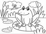 Coloring Frog Pages Printable Frogs Drawing Cartoon Paper Colorings Animals Work Categories sketch template