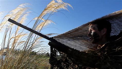 duck hunting season opens  protests  injury stuffconz