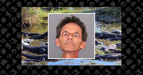 fact check was a florida man arrested for tranquilizing and raping alligators in the everglades
