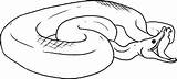 Anaconda Dangerous Coloringsky Animali sketch template