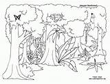 Rainforest sketch template
