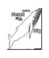 Coloring Small Big Book Enchantedlearning Opposites Print Animal Crafts Books sketch template