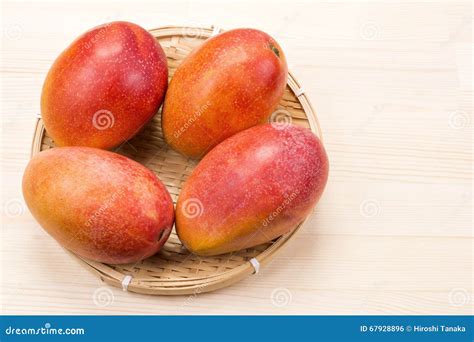 mango isolated  white background stock photography
