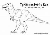 Rex Tyrannosaurus Dinosaur Coloring A4 sketch template