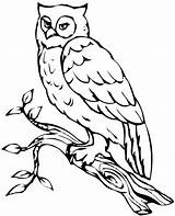 Owl Coloring Pages Snowy Flying Barn Printable Girls Drawing Owls Realistic Print Getcolorings Colouring Sheets Clipartmag Getdrawings Visit Color Colorings sketch template