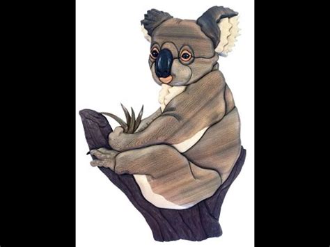 koala intarsia  kathy wise youtube