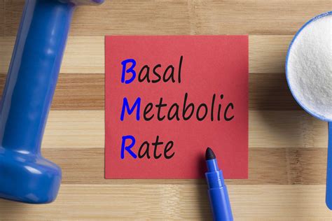 bmr calculator metabolism calculator basal metabolic rate