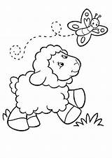 Baby Sheep Gambar Domba Lamb Mewarnai Tulamama Lambs Coloringsky Ducks Anak sketch template