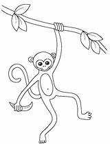 Monkey Swinging Coloring Tree Pages Branch Monkeys Kids Trees Getcolorings Color Print sketch template