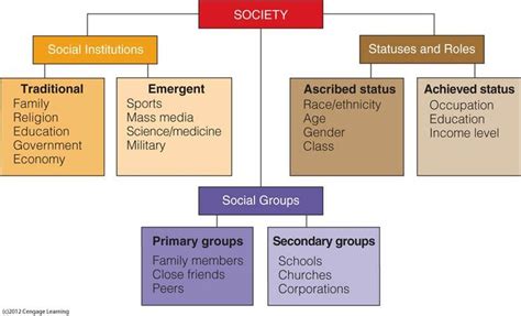 components of social structure sociology visuals