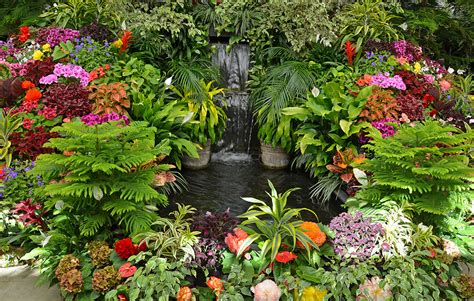 tropical ideas    garden  exotic oasis  weekly