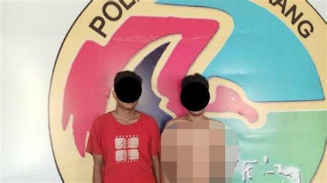breaking news pesta sabu polres enrekang tangkap dua pemuda di kecamatan maiwa tribun timur