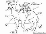 Unta Camel Diwarnai Mewarnai Anak Sirkus Menunggang sketch template