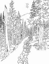 Ausmalbilder Wald Berge sketch template