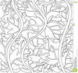 Lierre Ivy Noir Feuilles Edera Foglie Vettore Delle Feuillage sketch template