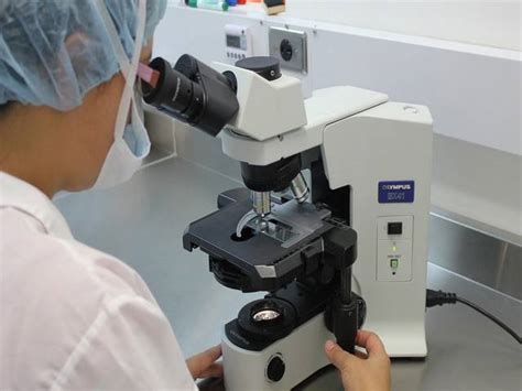 microscopic urinalysis test procedure  components   urine