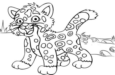 baby jaguar coloring page  kids mitraland