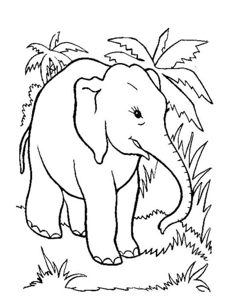 elephant coloring pages elephant coloring page animal coloring