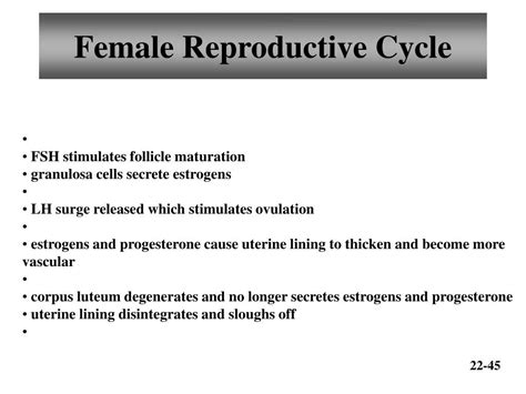 Ppt Chapter 22 Reproductive Systems Powerpoint Presentation Free