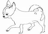 Chihuahuas Bestcoloringpagesforkids Dxf sketch template