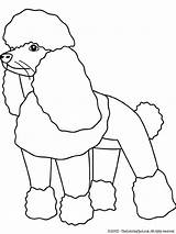 Poodle Coloring Kids Colouring sketch template