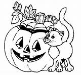 Pumpkin Cat Coloring Coloringcrew sketch template