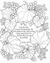 Coloring Vine Pages Bible Adults John 15 Vines Am Christian Flower Color Verse Nkjv Scripture Sheets Religious Adult Story Sunday sketch template