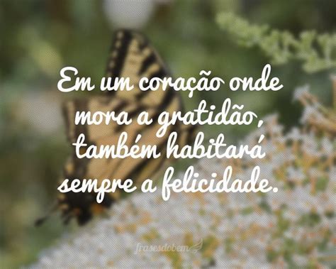 frases de gratidao