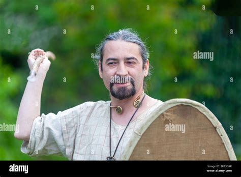 gaulish warrior  res stock photography  images alamy