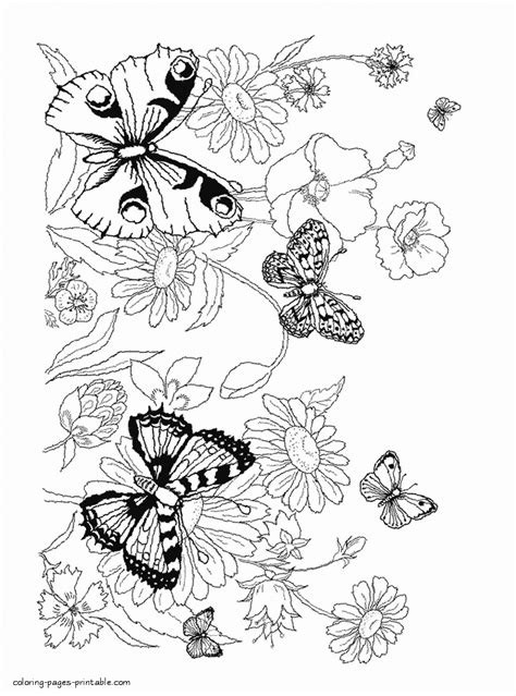printable coloring pages flowers  butterflies  file include