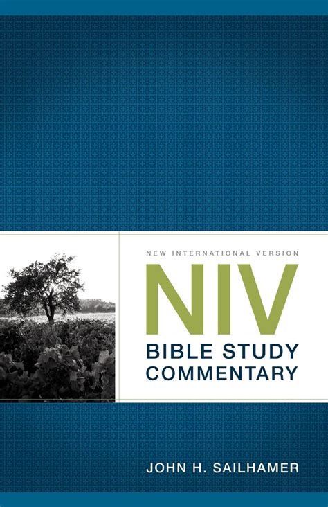 read niv bible study commentary   john  sailhamer books