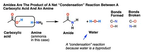 organic chemistry reaction  amines  carboxylic acids  xxx hot girl