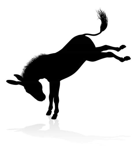 donkey illustrations royalty  vector graphics clip art istock