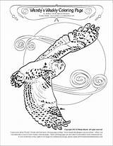 Coloring Owl Snowy Pages Owls Snow Color Colouring Pag Getcolorings sketch template
