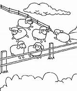 Sheep Coloring Farms sketch template