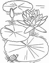 Lotus Coloring Flower Pages Drawing Lily Pad Flowers Colouring Printable Color Claude Monet Sheets Kids Színez Sketch Water Kifestkönyv Fleur sketch template