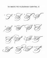 Flourish Hsu Isobel Calligraphy sketch template