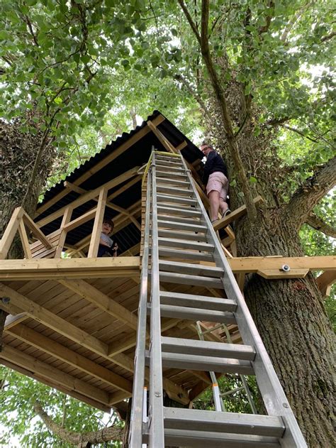 build  treehouse house garden