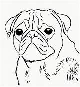 Coloring Pug Puppy Print Popular sketch template