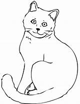 Cat Coloring Pages Adult Drawing Template Colouring Color Printable Geometric Sketch Kids Getdrawings Templates Read Dog sketch template