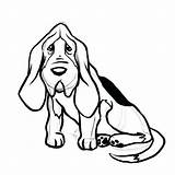 Hound Dog Basset Drawings Bloodhound Drawing Draw Coloring Outline Dogs Step Head Wikihow Getdrawings Getcolorings Clipartmag Face sketch template