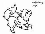 Wolf Cute Pages Baby Colouring sketch template