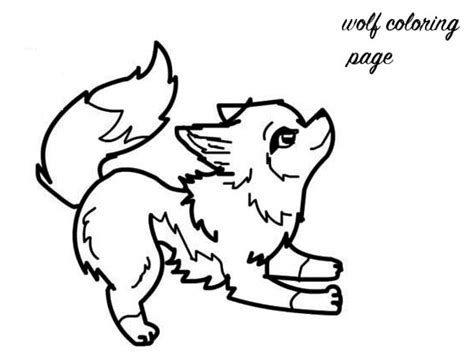 baby wolf coloring page  print  coloring pages