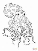 Octopus Coloring Pages Blue Ringed Printable Kids Drawing Color Adult Cartoon Shark Print Super Clipart Supercoloring Template Animals Crafts Colouring sketch template