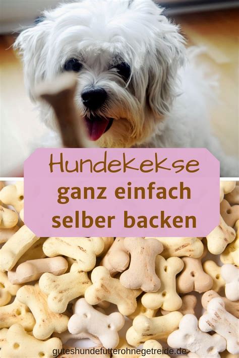 hundekekse selber backen  tolle rezepte ohne getreide